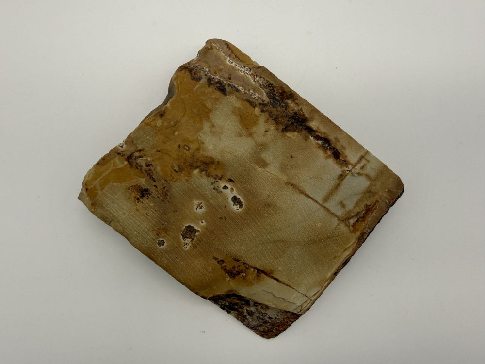 Nakayama Kiita Tomae - Imagen 8