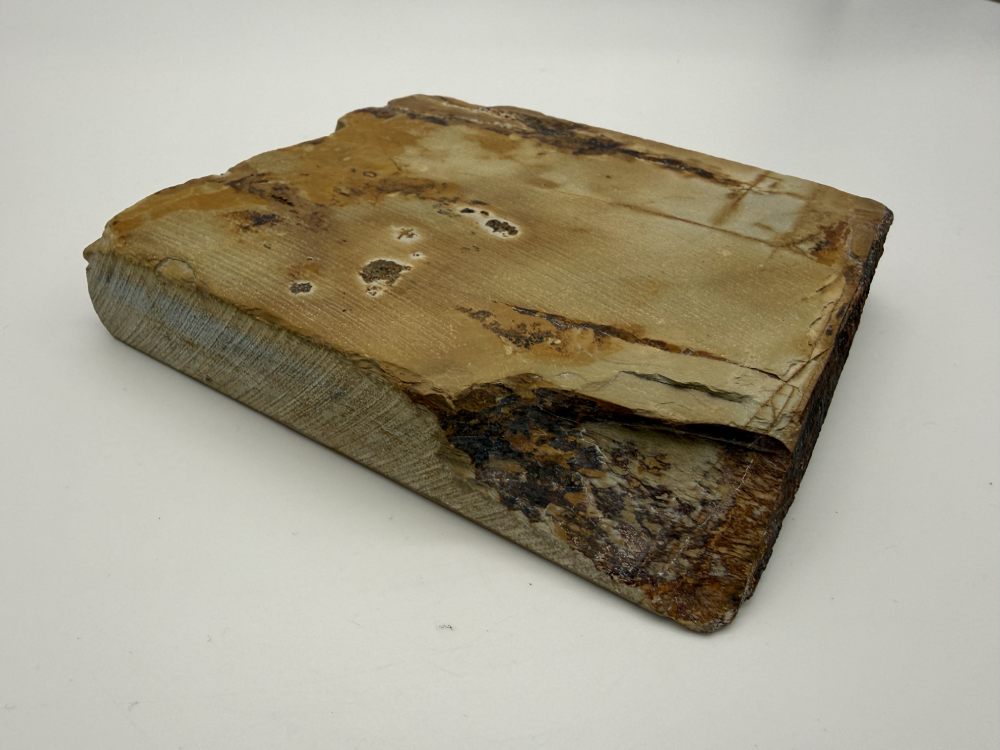 Nakayama Kiita Tomae - Imagen 2