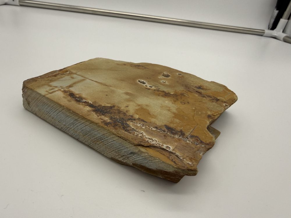 Nakayama Kiita Tomae - Imagen 3