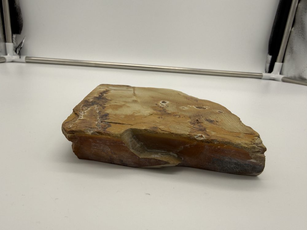 Nakayama Kiita Tomae - Imagen 4