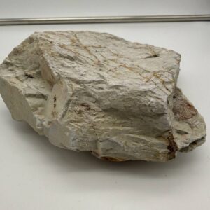 Ohira Uchigumori Neapdorotas